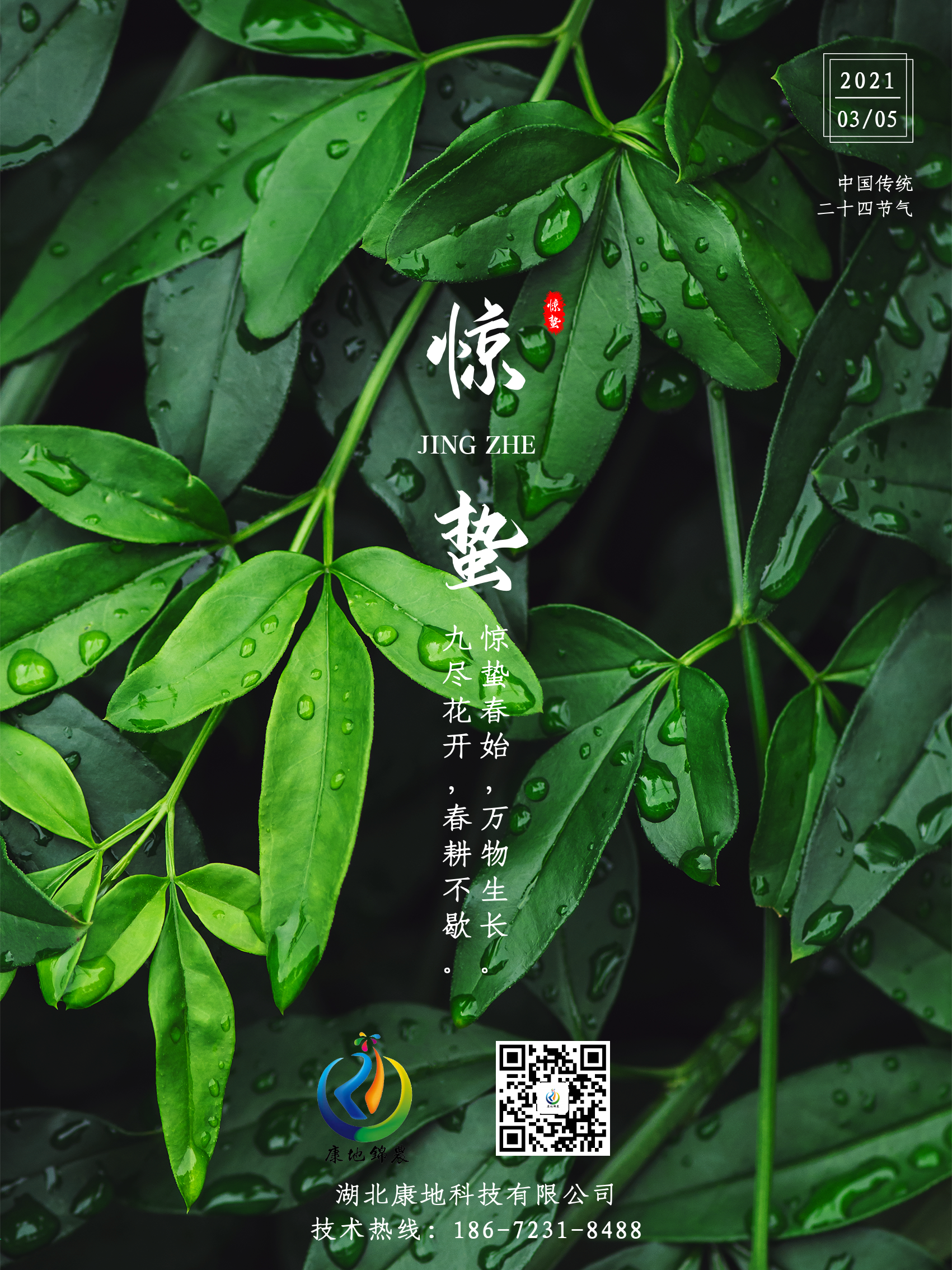 驚蟄