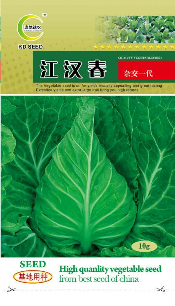 江漢春