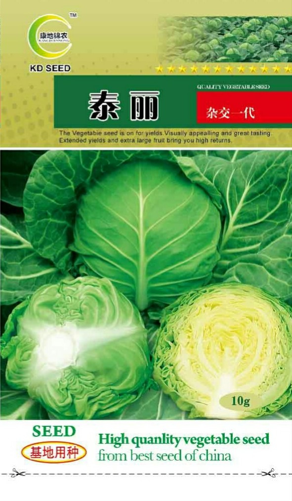 泰麗