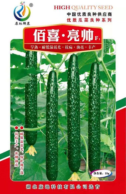 亮帥