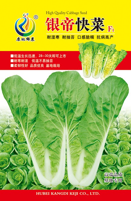 銀帝快菜