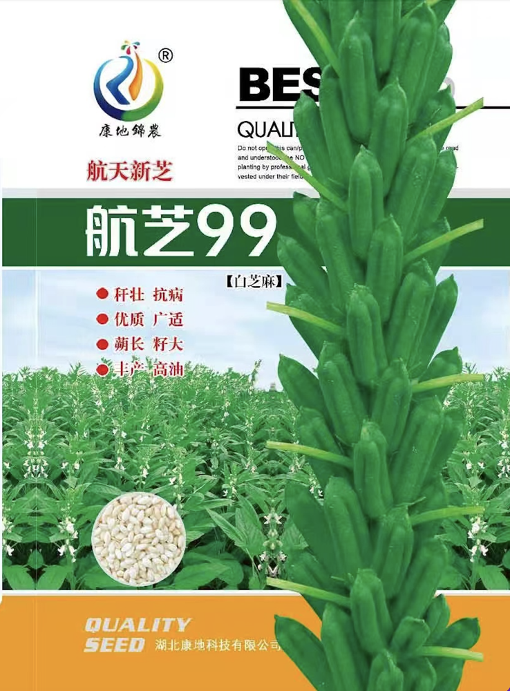 航芝99