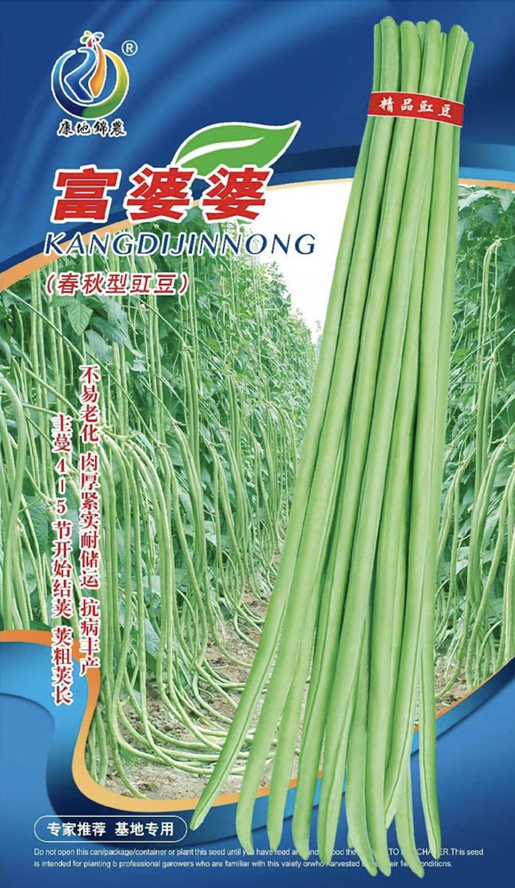 富婆婆