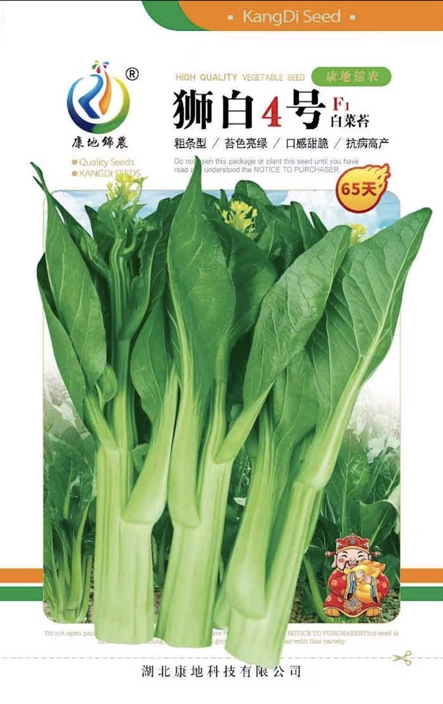 獅白4號(hào)