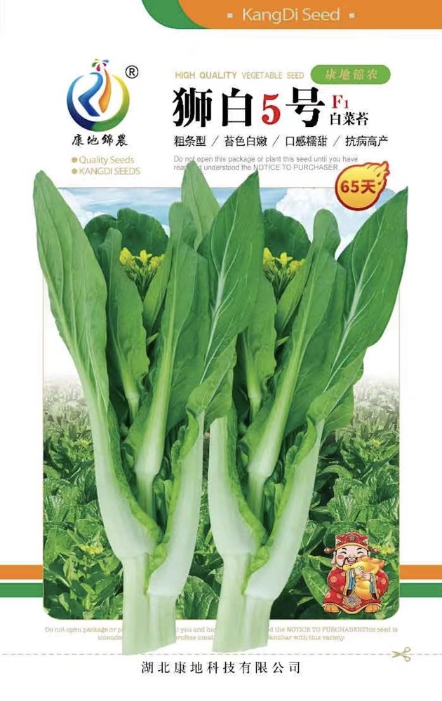 獅白5號(hào)