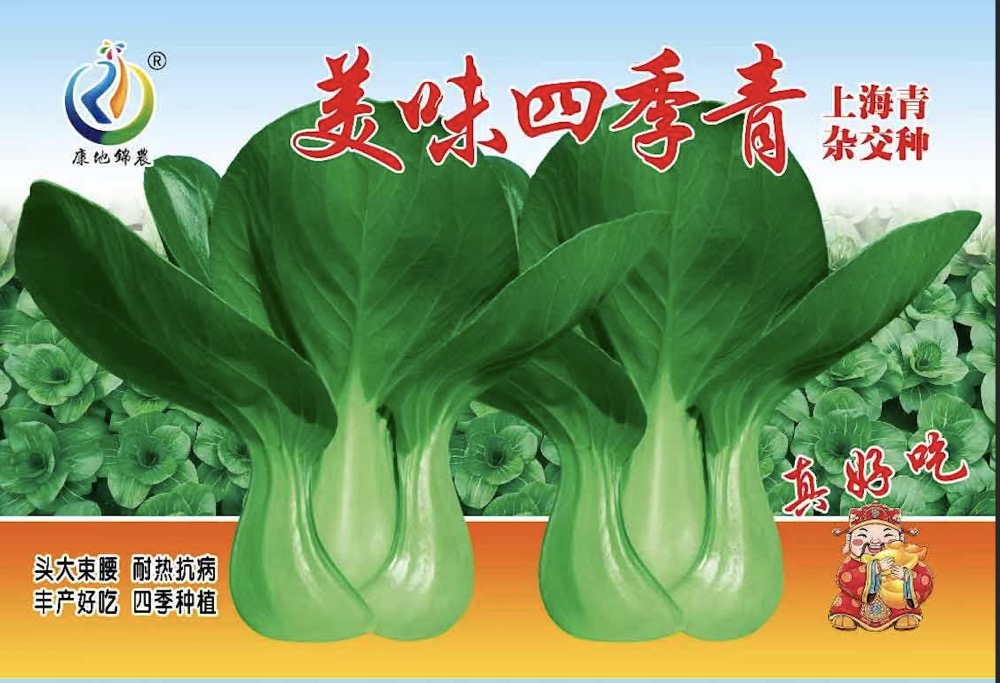 美味四季青