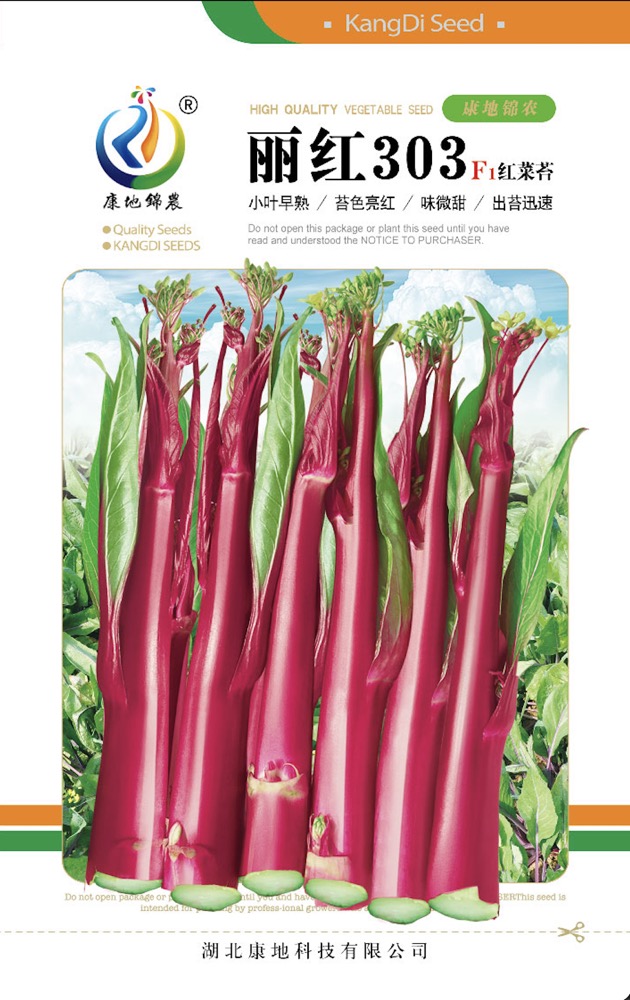 麗紅303